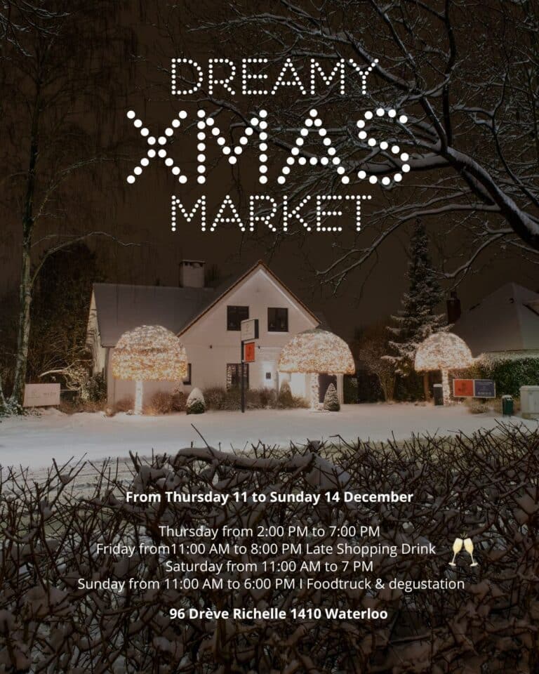dreamy xmas market